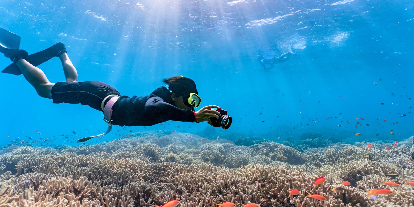 Beaches for diving and snorkeling in Mallorca